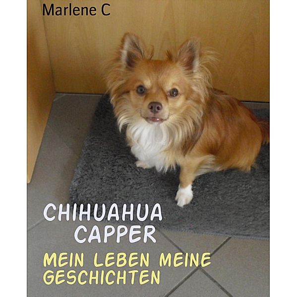 Chihuahua              CAPPER, Marlene C