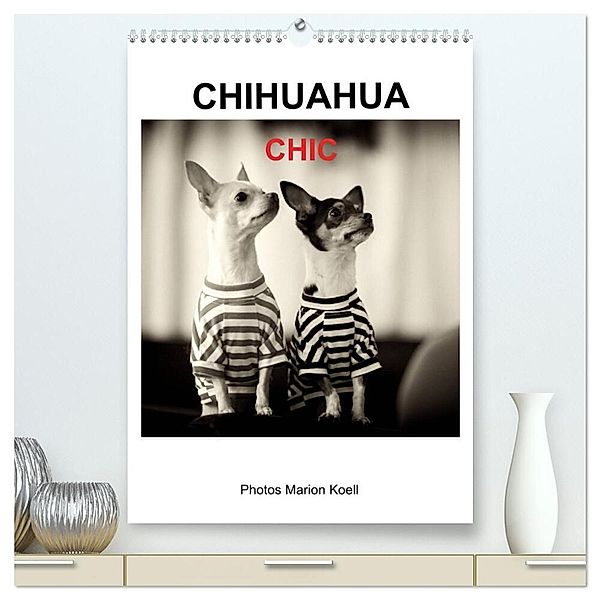 CHIHUAHUA CHIC Photos Marion Koell (hochwertiger Premium Wandkalender 2024 DIN A2 hoch), Kunstdruck in Hochglanz, Marion Koell