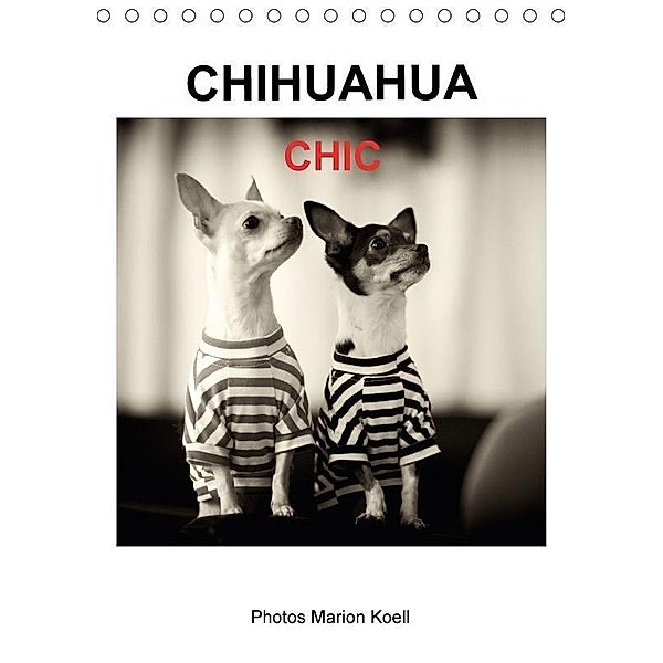 CHIHUAHUA CHIC Photos Marion Koell (Tischkalender 2017 DIN A5 hoch), Marion Koell, Marion                          10001471178 Koell