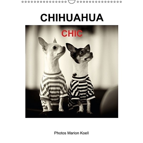 CHIHUAHUA CHIC Photos Marion Koell (Wandkalender 2015 DIN A3 hoch), Marion                          10001471178 Koell