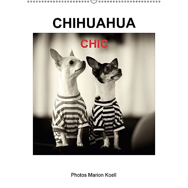 CHIHUAHUA CHIC Photos Marion Koell (Wandkalender 2018 DIN A2 hoch), Marion Koell, Marion                          10001471178 Koell