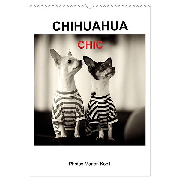 CHIHUAHUA CHIC Photos Marion Koell (Wandkalender 2024 DIN A3 hoch), CALVENDO Monatskalender, Marion Koell