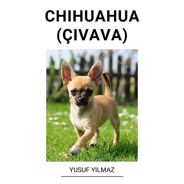 Chihuahua (Çivava), Yusuf Yilmaz