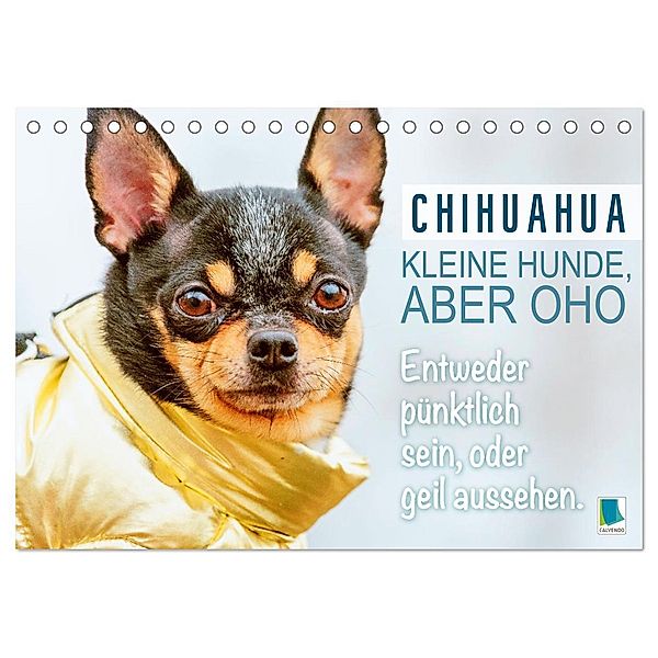 Chihuahua: Kleine Hunde, aber oho (Tischkalender 2024 DIN A5 quer), CALVENDO Monatskalender, Calvendo