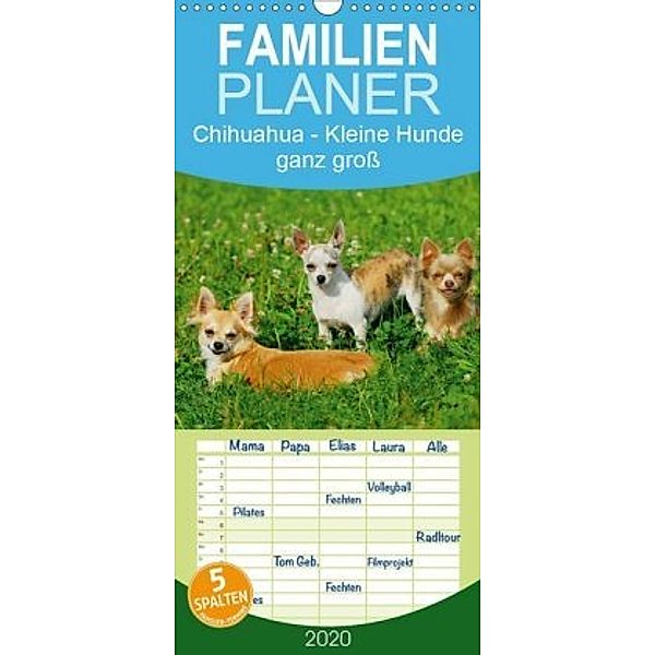 Chihuahua - Kleine Hunde ganz groß - Familienplaner hoch (Wandkalender 2020 , 21 cm x 45 cm, hoch), Sigrid Starick