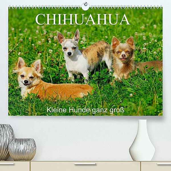 Chihuahua - Kleine Hunde ganz groß (Premium, hochwertiger DIN A2 Wandkalender 2023, Kunstdruck in Hochglanz), Sigrid Starick
