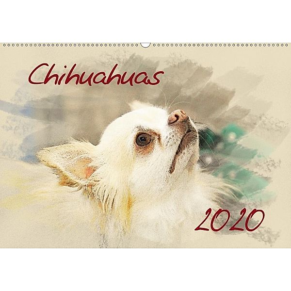 Chihuahuas 2020 (Wandkalender 2020 DIN A2 quer), Andrea Redecker