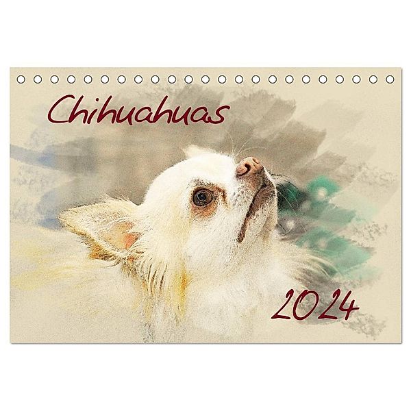 Chihuahuas 2024 (Tischkalender 2024 DIN A5 quer), CALVENDO Monatskalender, Andrea Redecker