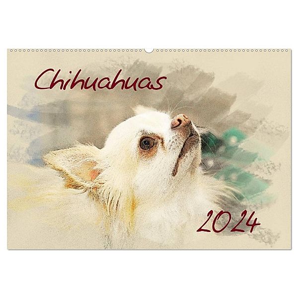 Chihuahuas 2024 (Wandkalender 2024 DIN A2 quer), CALVENDO Monatskalender, Andrea Redecker