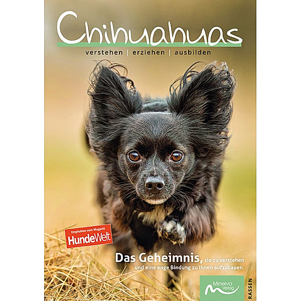 Chihuahuas, Claudia de la Motte