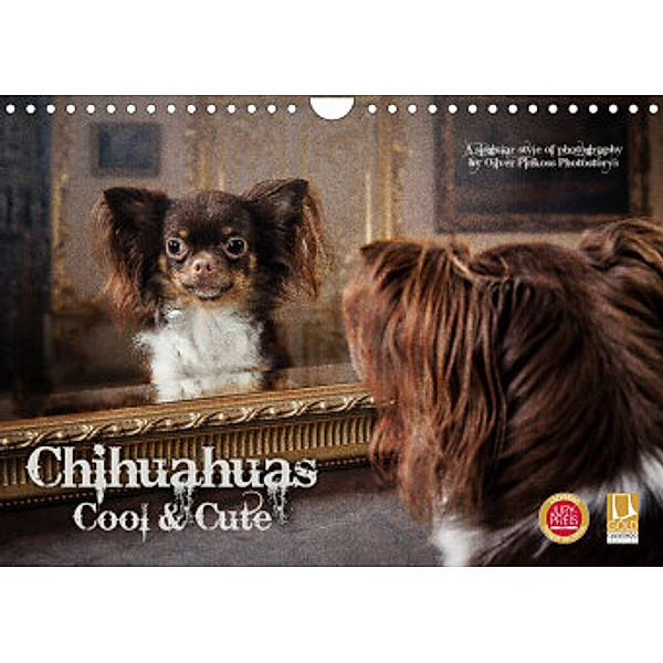 Chihuahuas - Cool and Cute (Wandkalender 2022 DIN A4 quer), Oliver Pinkoss Photostorys