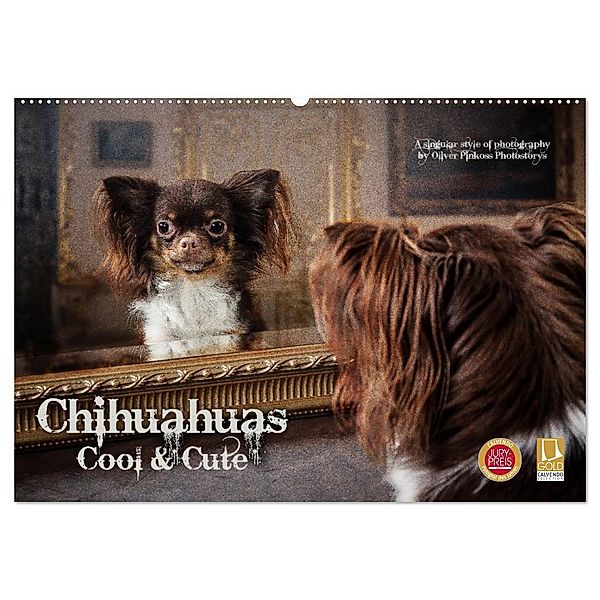 Chihuahuas - Cool and Cute (Wandkalender 2024 DIN A2 quer), CALVENDO Monatskalender, Oliver Pinkoss Photostorys