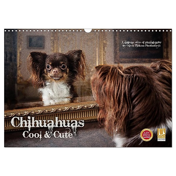 Chihuahuas - Cool and Cute (Wandkalender 2024 DIN A3 quer), CALVENDO Monatskalender, Oliver Pinkoss Photostorys