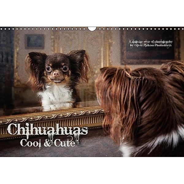 Chihuahuas - Cool & Cute / UK-Version (Wall Calendar 2017 DIN A3 Landscape), Oliver Pinkoss Photostorys, Oliver Pinkoss
