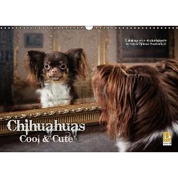 Chihuahuas - Cool & Cute (Wandkalender 2016 DIN A3 quer), Oliver Pinkoss