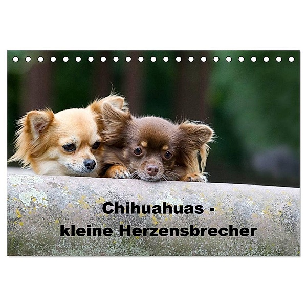 Chihuahuas - kleine Herzensbrecher (Tischkalender 2024 DIN A5 quer), CALVENDO Monatskalender, Verena Scholze