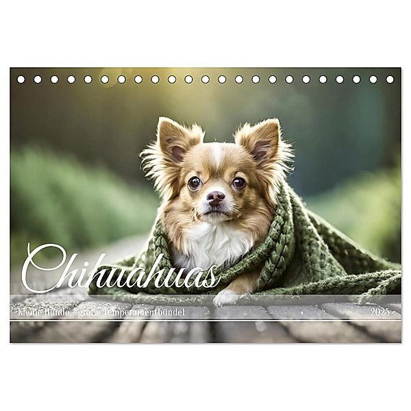 Chihuahuas - Kleine Hunde - große Temperamentbündel (Tischkalender 2025 DIN A5 quer), CALVENDO Monatskalender, Calvendo, Fotodesign Verena Scholze