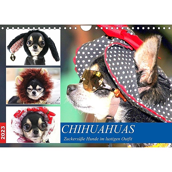 Chihuahuas. Zuckersüße Hunde im lustigen Outfit (Wandkalender 2023 DIN A4 quer), Rose Hurley