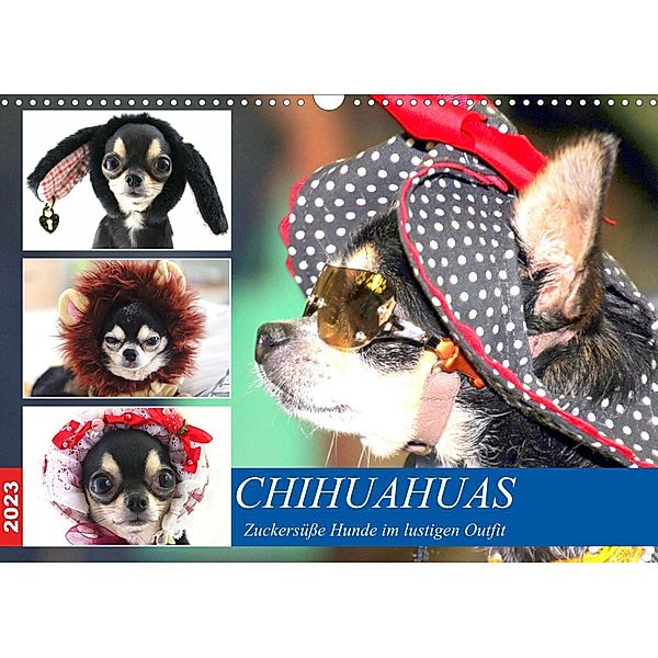 Chihuahuas. Zuckersüße Hunde im lustigen Outfit (Wandkalender 2023 DIN A3 quer), Rose Hurley