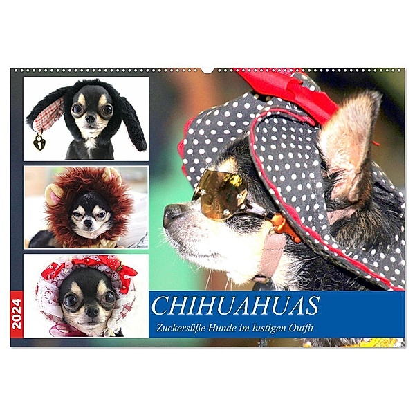 Chihuahuas. Zuckersüsse Hunde im lustigen Outfit (Wandkalender 2024 DIN A2 quer), CALVENDO Monatskalender, Rose Hurley