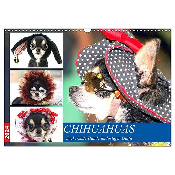 Chihuahuas. Zuckersüsse Hunde im lustigen Outfit (Wandkalender 2024 DIN A3 quer), CALVENDO Monatskalender, Rose Hurley