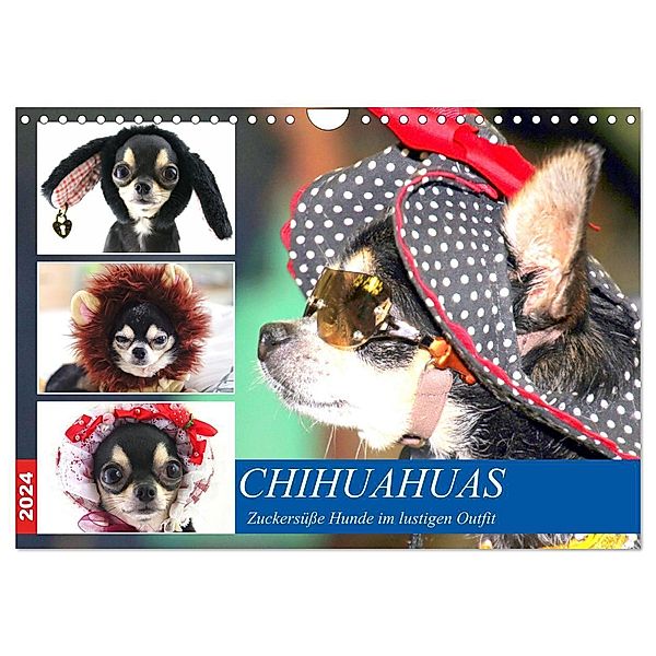 Chihuahuas. Zuckersüsse Hunde im lustigen Outfit (Wandkalender 2024 DIN A4 quer), CALVENDO Monatskalender, Rose Hurley