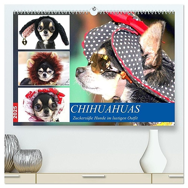 Chihuahuas. Zuckersüße Hunde im lustigen Outfit (hochwertiger Premium Wandkalender 2025 DIN A2 quer), Kunstdruck in Hochglanz, Calvendo, Rose Hurley