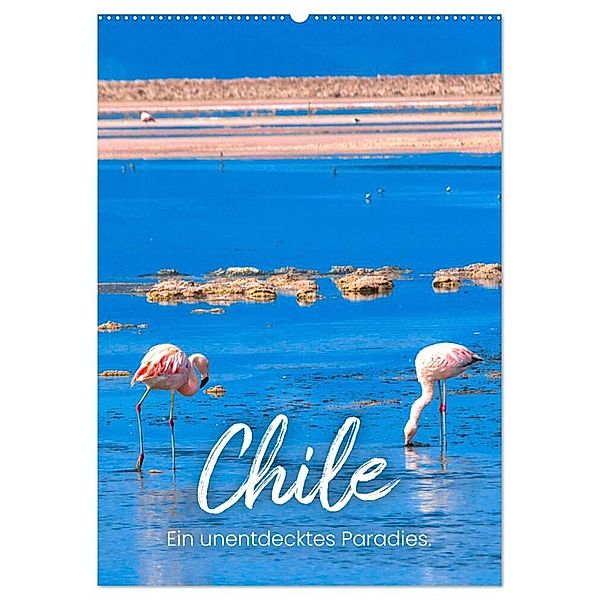 Chile - Ein unentdecktes Paradies. (Wandkalender 2024 DIN A2 hoch), CALVENDO Monatskalender, SF