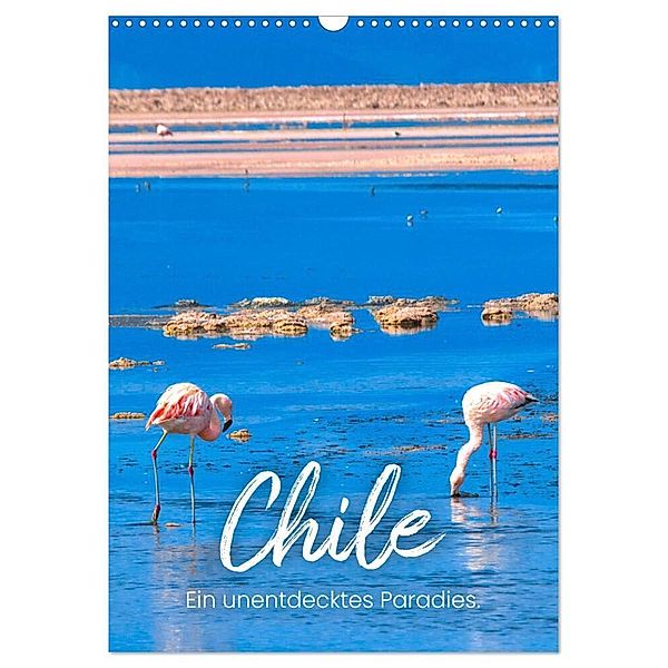 Chile - Ein unentdecktes Paradies. (Wandkalender 2024 DIN A3 hoch), CALVENDO Monatskalender, SF