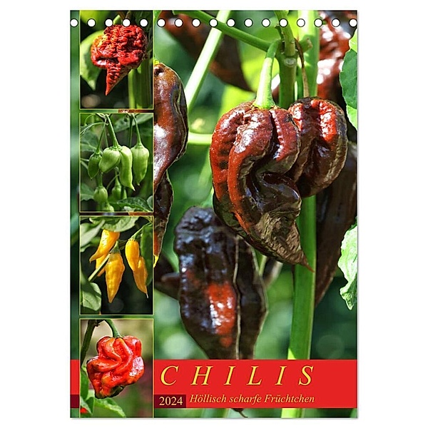 Chilis - Höllisch scharfe Früchtchen (Tischkalender 2024 DIN A5 hoch), CALVENDO Monatskalender, Martina Cross