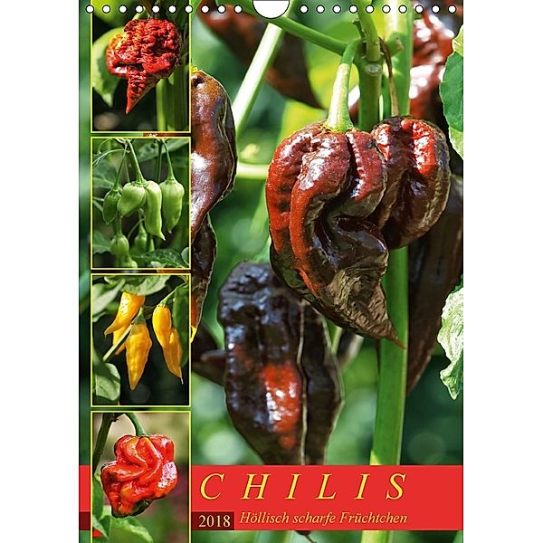Chilis - Höllisch scharfe Früchtchen (Wandkalender 2018 DIN A4 hoch) Dieser erfolgreiche Kalender wurde dieses Jahr mit, Martina Cross