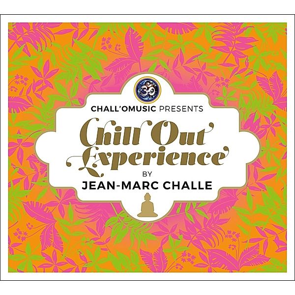 Chill Out Experience, Diverse Interpreten