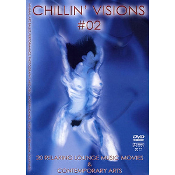 Chillin' Visions Vol. 02, Diverse Interpreten
