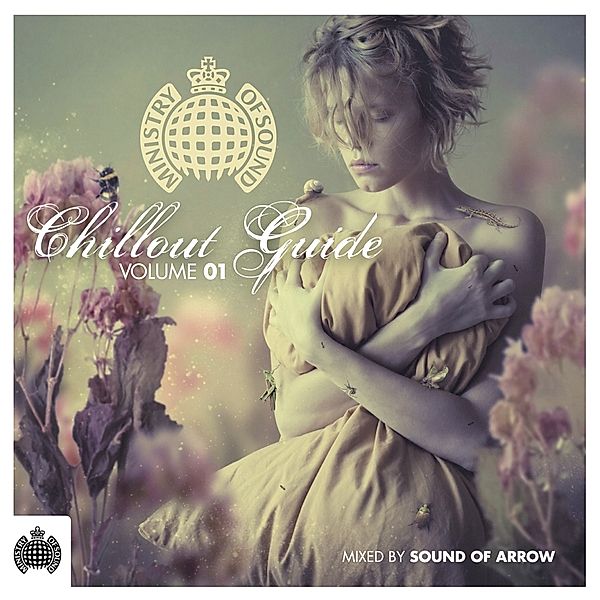 Chillout Guide 2011, Various, Sound Of Arrow (Mixed By)