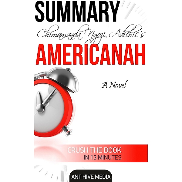 Chimamanda Ngozi's Americanah  Summary, AntHiveMedia