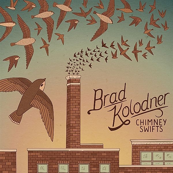 Chimney Swifts, Brad Kolodner