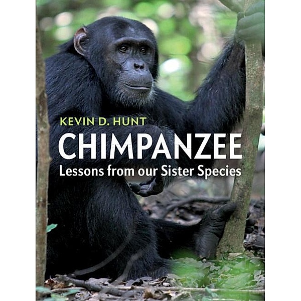 Chimpanzee, Kevin D. Hunt