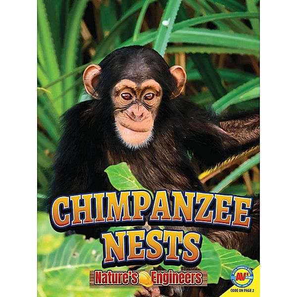 Chimpanzee Nests, Christopher Forest