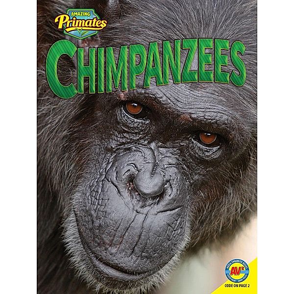 Chimpanzees, Helen Lepp Friesen