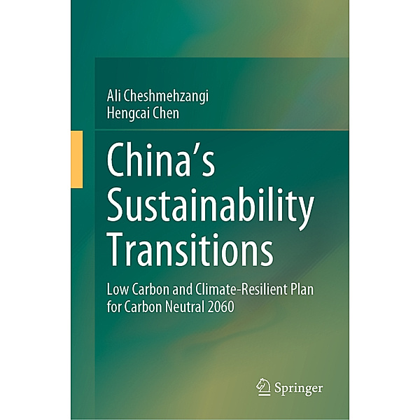 China's Sustainability Transitions, Ali Cheshmehzangi, Hengcai Chen