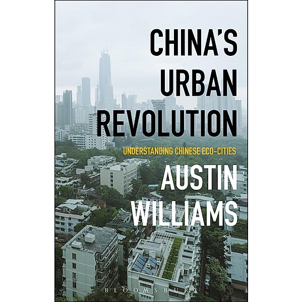 China's Urban Revolution, Austin Williams