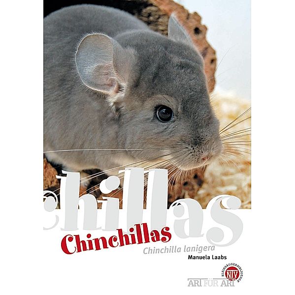 Chinchillas / Art für Art, Manuela Laabs