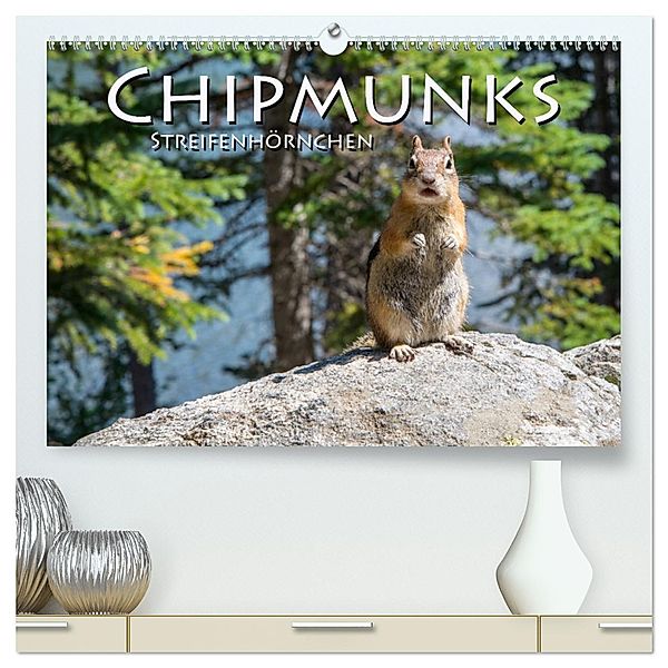 Chipmunks Streifenhörnchen (hochwertiger Premium Wandkalender 2025 DIN A2 quer), Kunstdruck in Hochglanz, Calvendo, Robert Styppa