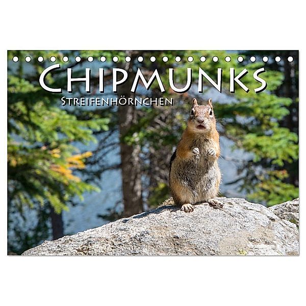 Chipmunks Streifenhörnchen (Tischkalender 2024 DIN A5 quer), CALVENDO Monatskalender, Robert Styppa