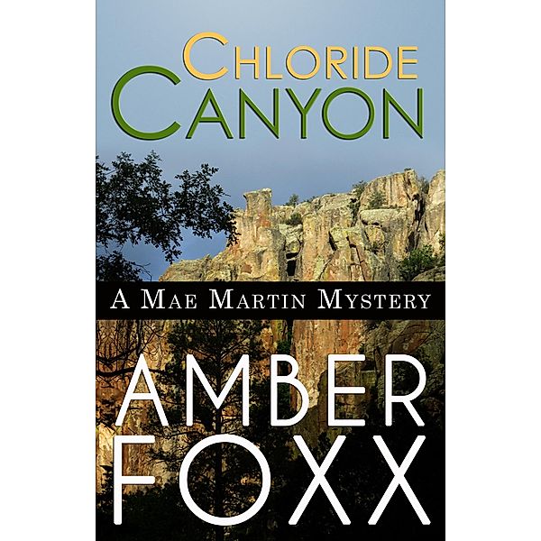 Chloride Canyon (Mae Martin Mysteries, #8) / Mae Martin Mysteries, Amber Foxx