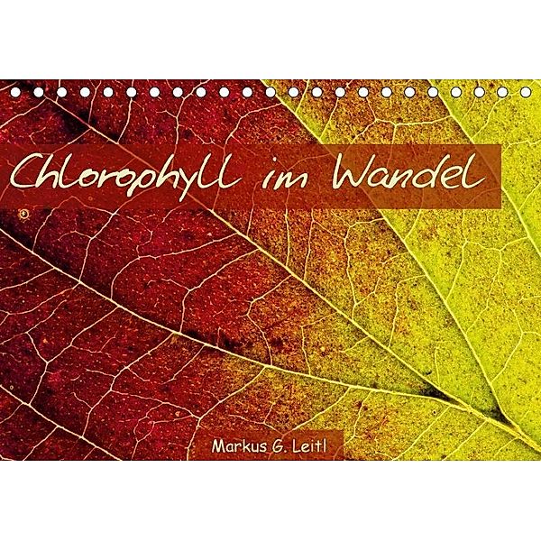 Chlorophyll im Wandel (Tischkalender 2017 DIN A5 quer), Markus G. Leitl