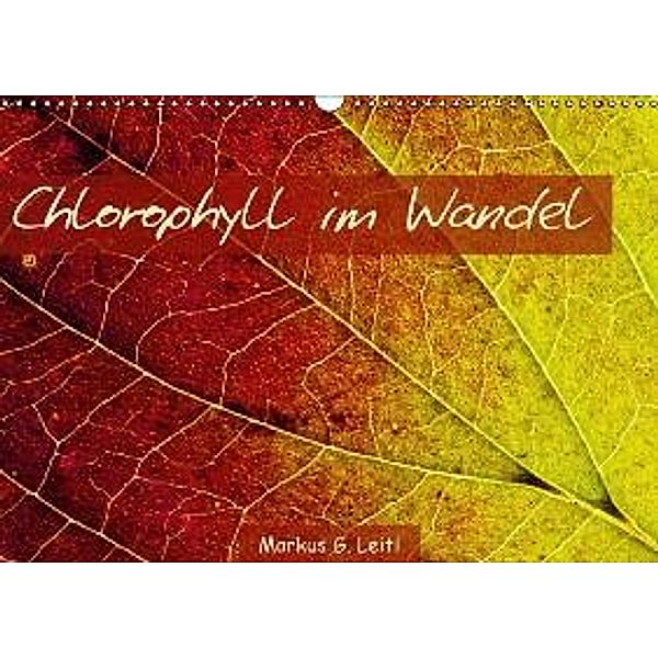 Chlorophyll im Wandel (Wandkalender 2015 DIN A3 quer), Markus G. Leitl