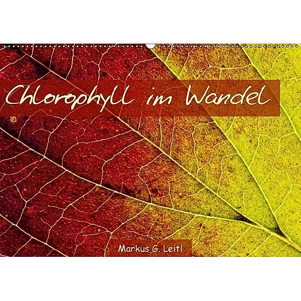 Chlorophyll im Wandel (Wandkalender 2017 DIN A2 quer), Markus G. Leitl