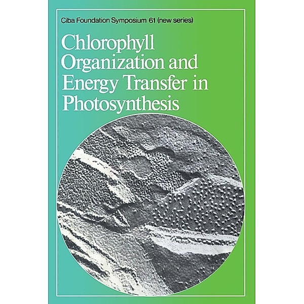 Chlorophyll Organization and Energy Transfer in Photosynthesis / Novartis Foundation Symposium