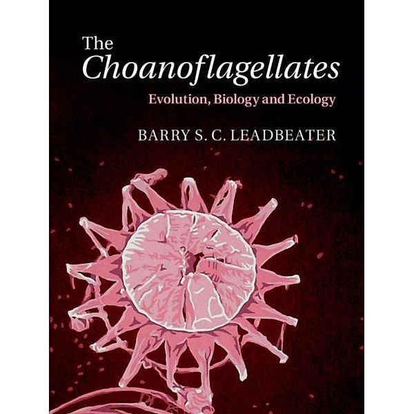Choanoflagellates, Barry S. C. Leadbeater